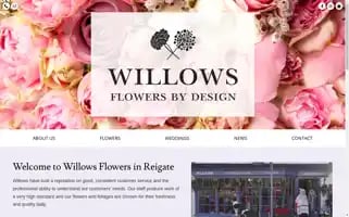 Willowsreigate.co.uk Screenshot 2024-06-12 14:14:35