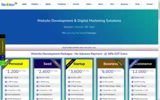 Makemysales.com Screenshot 2024-06-18 03:02:43