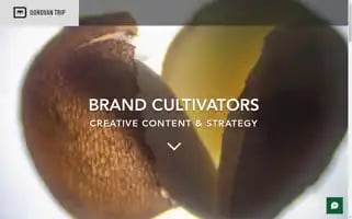 Donovantrip.com Screenshot 2024-04-25 04:50:47