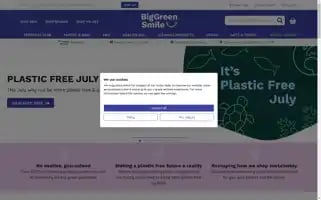 Biggreensmile.com Screenshot 2024-07-05 18:39:42