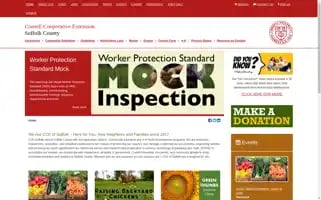 Ccesuffolk.org Screenshot 2024-07-07 08:22:42