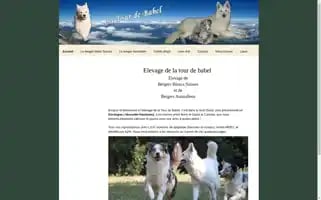 Latourdebabel.fr Screenshot 2024-04-16 11:33:35