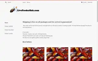 Livefeederfish.com Screenshot 2024-05-12 18:32:46
