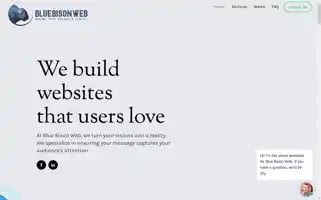 Bluebisonweb.com Screenshot 2024-06-17 06:25:38