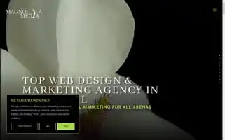 Magnolia-media.com Screenshot 2024-06-13 09:02:23