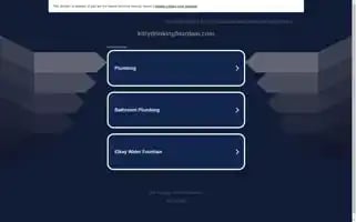 Kittydrinkingfountain.com Screenshot 2024-05-24 13:19:40