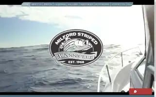 Milfordstripedbass.com Screenshot 2024-04-16 02:01:53