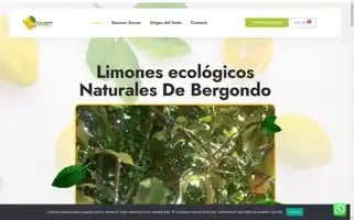 Biolimonesecologicos.com Screenshot 2024-05-26 17:54:54