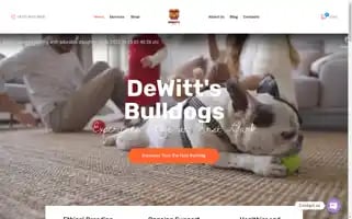 Dewittbulldogs.com Screenshot 2024-05-24 17:12:38