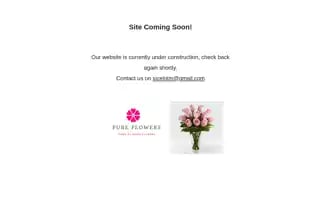 Pureflowers.co.za Screenshot 2024-05-18 06:08:33