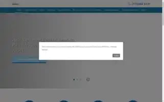 Renotahoepain.com Screenshot 2024-07-05 13:55:46