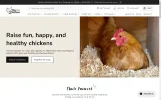 Mypetchicken.com Screenshot 2024-05-13 01:47:03