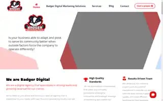 Badgerdigitalmarketingsolutions.com Screenshot 2024-07-04 02:36:17
