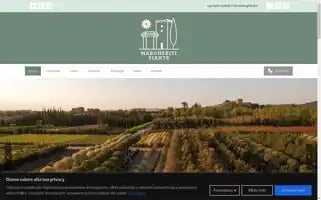Margheriti.it Screenshot 2024-06-11 13:30:30