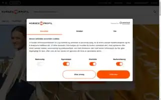 Norgesprofil.no Screenshot 2024-06-17 10:32:35