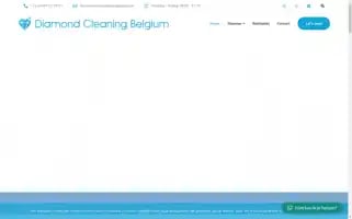 Diamondcleaningbelgium.be Screenshot 2024-07-30 07:44:32