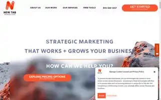 Newtabmarketing.com Screenshot 2024-06-13 02:39:14