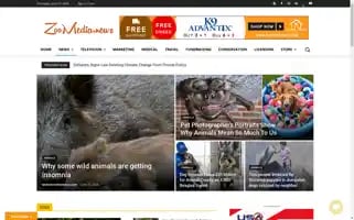 Zoomedia.news Screenshot 2024-06-13 22:34:46
