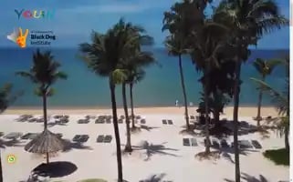 Youintravel.com Screenshot 2024-04-24 09:26:41