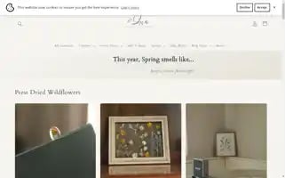 Diriscollections.com Screenshot 2024-04-27 10:29:00