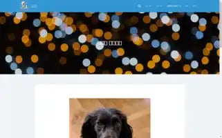 Petravel.co.kr Screenshot 2024-04-17 06:43:55