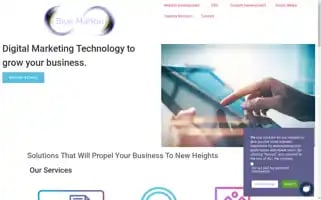 Bluemarlon.com Screenshot 2024-06-30 12:46:56