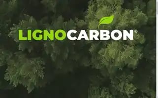 Lignocarbon.ch Screenshot 2024-07-05 18:38:03