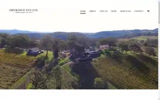 Dryridge.com.au Screenshot 2024-05-05 18:18:23