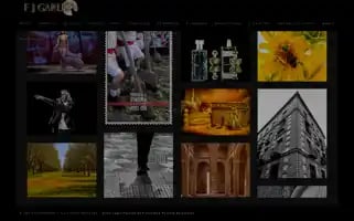 Fjgarlefotografia.com Screenshot 2024-06-19 06:23:16