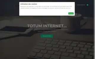 Totum.ws Screenshot 2024-06-16 15:02:06