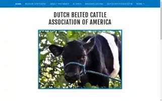 Dutchbelted.com Screenshot 2024-06-30 21:22:02