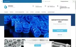 Bire-max.ru Screenshot 2024-06-17 10:59:33