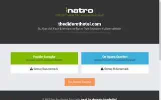 Thediderothotel.com Screenshot 2024-04-24 07:04:27