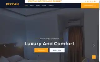 Peccanhotelsng.org Screenshot 2024-04-25 04:08:19