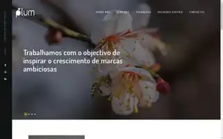 Plum.pt Screenshot 2024-05-13 10:45:02