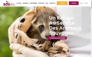 Sosmissdolittle.com Screenshot 2024-07-03 15:48:41