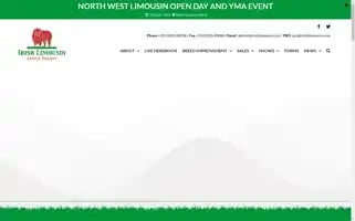 Irishlimousin.com Screenshot 2024-06-11 06:26:28