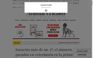 Animalshealth.es Screenshot 2024-07-09 12:54:11