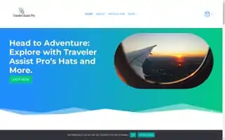 Travelerassistpro.com Screenshot 2024-05-26 08:20:11