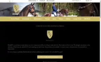Bridle2fit.com Screenshot 2024-07-09 02:09:39