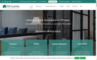 Gmconsulting.pro Screenshot 2024-06-30 08:41:06