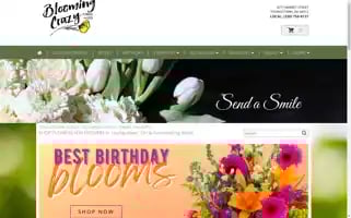 Bloomingcrazyflowers.com Screenshot 2024-05-15 14:46:20