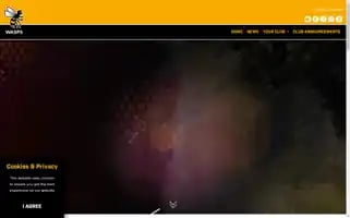 Wasps.co.uk Screenshot 2024-05-06 02:35:53