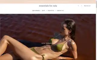 Essentialsforzula.com Screenshot 2024-05-05 23:43:00