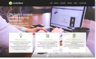 Codeflex.com.au Screenshot 2024-07-08 02:10:31