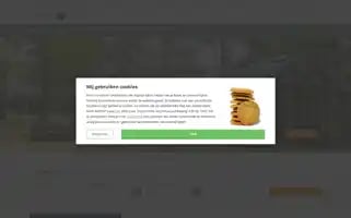 Fletcherzakelijk.nl Screenshot 2024-07-09 05:41:34