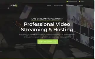 Zidivo.com Screenshot 2024-05-15 10:12:50