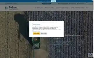 Balamo.legal Screenshot 2024-07-09 05:12:35