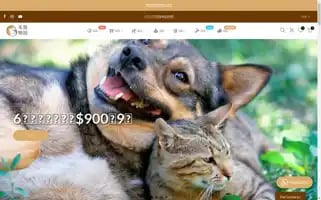 Petsthing.com.hk Screenshot 2024-06-26 03:39:17