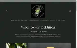 Wildfloweroddities.com Screenshot 2024-04-27 08:39:11